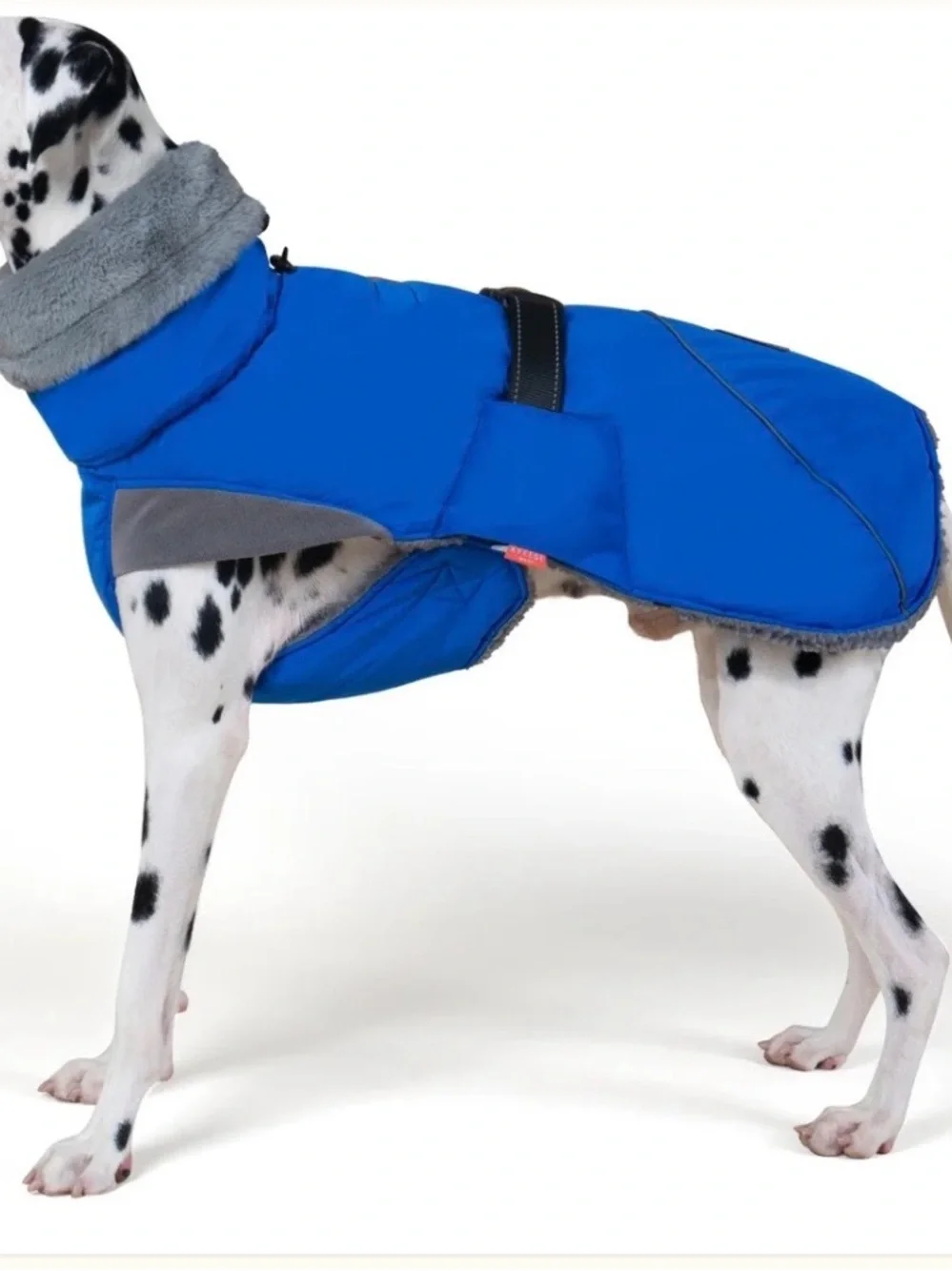 Kyeese Wear Waterproof Blue Winter Dog Coat